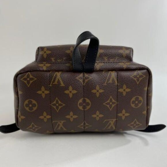 Louis Vuitton Monogram Palm Springs Backpack PM - Picture 6 of 13